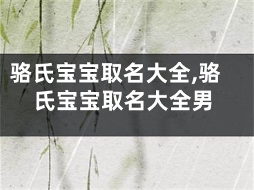 骆氏宝宝取名大全,骆氏宝宝取名大全男