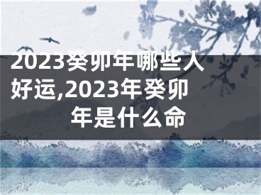 2023癸卯年哪些人好运,2023年癸卯年是什么命