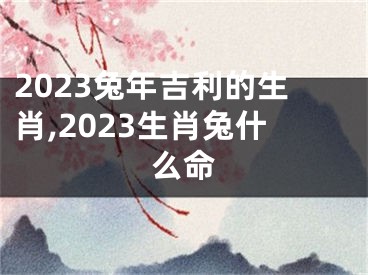 2023兔年吉利的生肖,2023生肖兔什么命