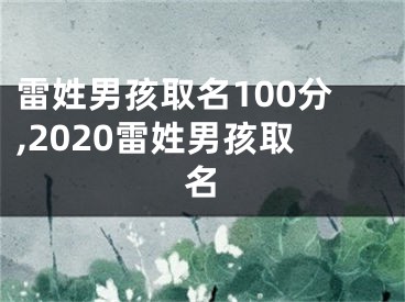 雷姓男孩取名100分,2020雷姓男孩取名