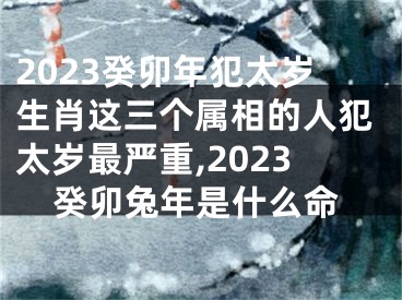 2023癸卯年犯太岁生肖这三个属相的人犯太岁最严重,2023癸卯兔年是什么命