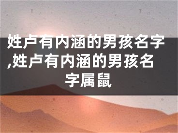 姓卢有内涵的男孩名字,姓卢有内涵的男孩名字属鼠