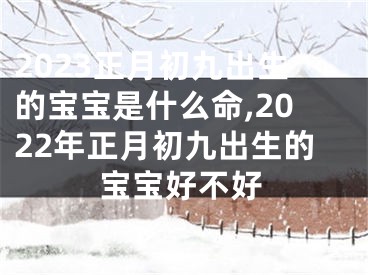 2023正月初九出生的宝宝是什么命,2022年正月初九出生的宝宝好不好