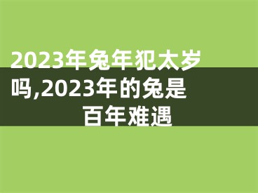 2023年兔年犯太岁吗,2023年的兔是百年难遇