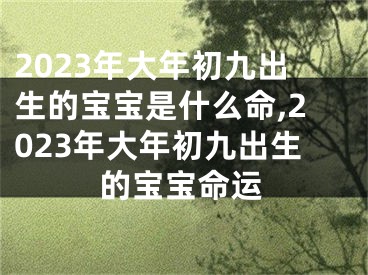 2023年大年初九出生的宝宝是什么命,2023年大年初九出生的宝宝命运