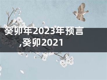 癸卯年2023年预言,癸卯2021