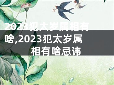 2023犯太岁属相有啥,2023犯太岁属相有啥忌讳