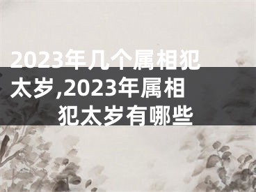 2023年几个属相犯太岁,2023年属相犯太岁有哪些