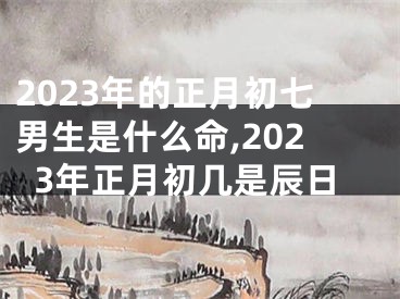 2023年的正月初七男生是什么命,2023年正月初几是辰日