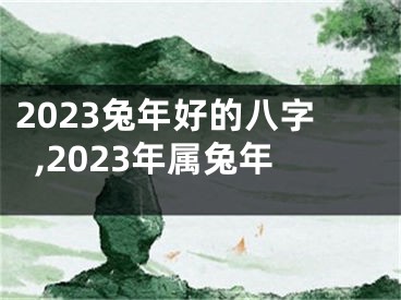 2023兔年好的八字,2023年属兔年