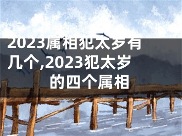 2023属相犯太岁有几个,2023犯太岁的四个属相