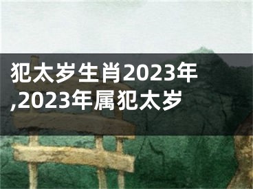 犯太岁生肖2023年,2023年属犯太岁