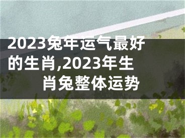 2023兔年运气最好的生肖,2023年生肖兔整体运势