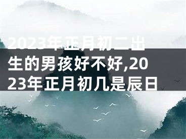 2023年正月初二出生的男孩好不好,2023年正月初几是辰日