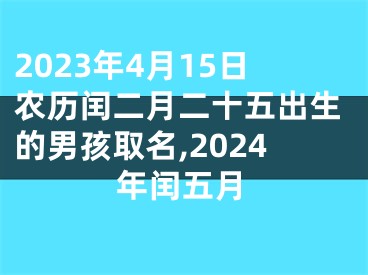 2023年4月15日农历闰二月二十五出生的男孩取名,2024年闰五月