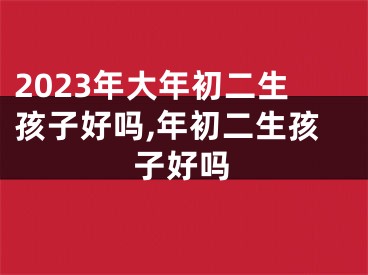 2023年大年初二生孩子好吗,年初二生孩子好吗