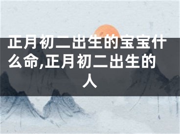 正月初二出生的宝宝什么命,正月初二出生的人