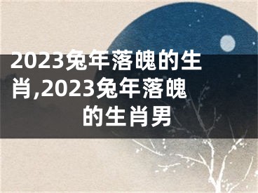 2023兔年落魄的生肖,2023兔年落魄的生肖男