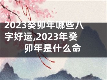 2023癸卯年哪些八字好运,2023年癸卯年是什么命