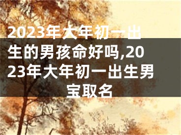 2023年大年初一出生的男孩命好吗,2023年大年初一出生男宝取名