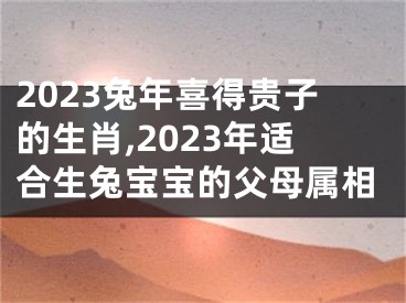 2023兔年喜得贵子的生肖,2023年适合生兔宝宝的父母属相