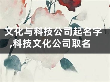 文化与科技公司起名字,科技文化公司取名