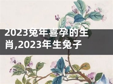 2023兔年喜孕的生肖,2023年生兔子