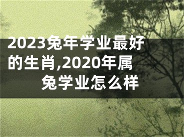 2023兔年学业最好的生肖,2020年属兔学业怎么样