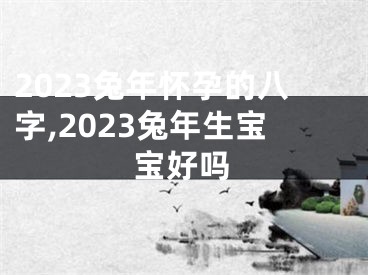 2023兔年怀孕的八字,2023兔年生宝宝好吗