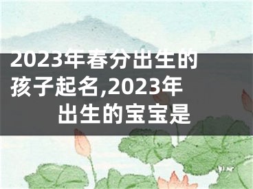 2023年春分出生的孩子起名,2023年出生的宝宝是