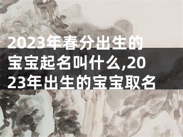 2023年春分出生的宝宝起名叫什么,2023年出生的宝宝取名