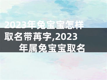 2023年兔宝宝怎样取名带苒字,2023年属兔宝宝取名