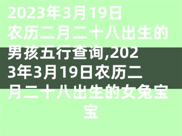 2023年3月19日农历二月二十八出生的男孩五行查询,2023年3月19日农历二月二十八出生的女兔宝宝