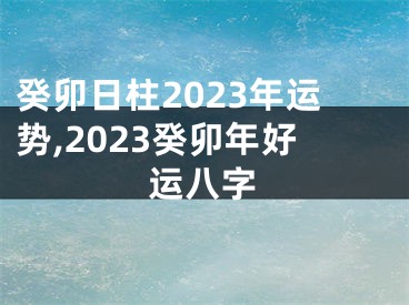 癸卯日柱2023年运势,2023癸卯年好运八字