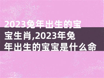 2023兔年出生的宝宝生肖,2023年兔年出生的宝宝是什么命