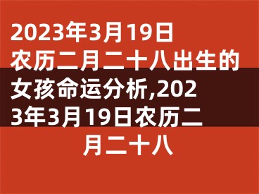 2023年3月19日农历二月二十八出生的女孩命运分析,2023年3月19日农历二月二十八