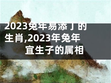 2023兔年易添丁的生肖,2023年兔年宜生子的属相