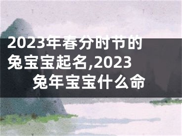 2023年春分时节的兔宝宝起名,2023兔年宝宝什么命