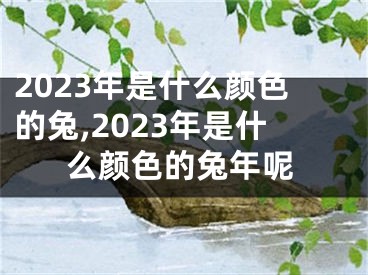 2023年是什么颜色的兔,2023年是什么颜色的兔年呢