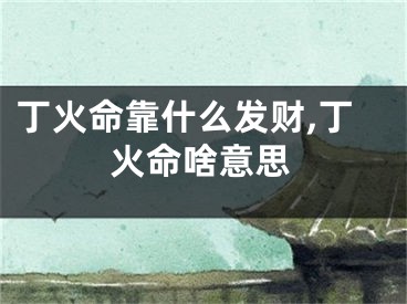 丁火命靠什么发财,丁火命啥意思