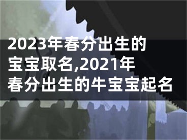 2023年春分出生的宝宝取名,2021年春分出生的牛宝宝起名