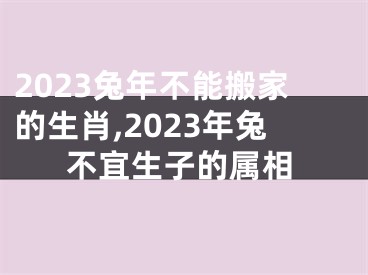 2023兔年不能搬家的生肖,2023年兔不宜生子的属相