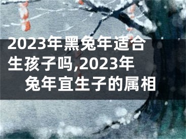 2023年黑兔年适合生孩子吗,2023年兔年宜生子的属相