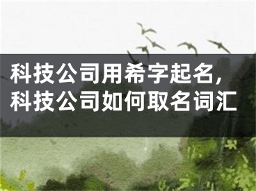 科技公司用希字起名,科技公司如何取名词汇