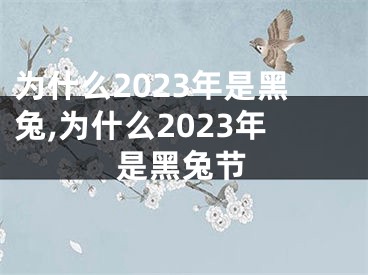 为什么2023年是黑兔,为什么2023年是黑兔节