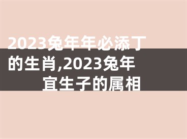 2023兔年年必添丁的生肖,2023兔年宜生子的属相