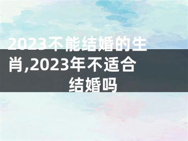 2023不能结婚的生肖,2023年不适合结婚吗