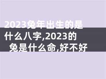 2023兔年出生的是什么八字,2023的兔是什么命,好不好