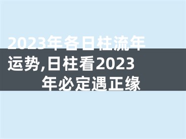 2023年各日柱流年运势,日柱看2023年必定遇正缘