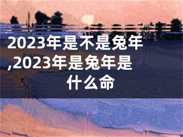 2023年是不是兔年,2023年是兔年是什么命